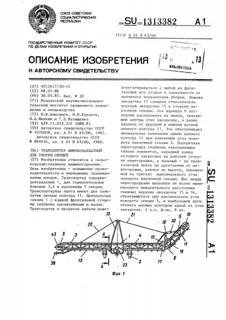 Транспортер широкозахватный для уборки овощей (патент 1313382)