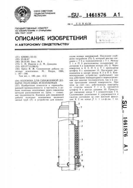 Колонна для скважинной добычи полезных ископаемых (патент 1461876)