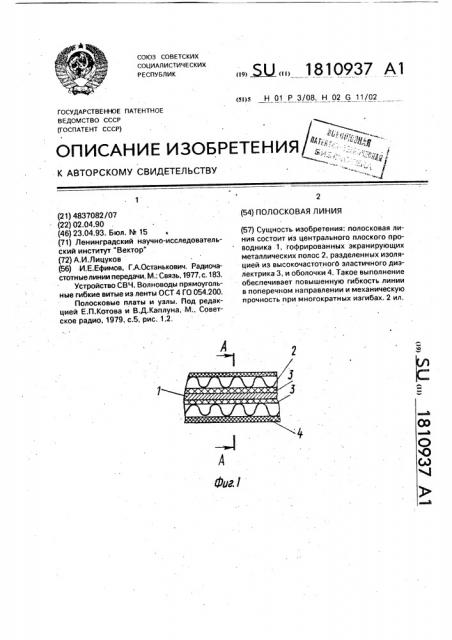 Полосковая линия (патент 1810937)