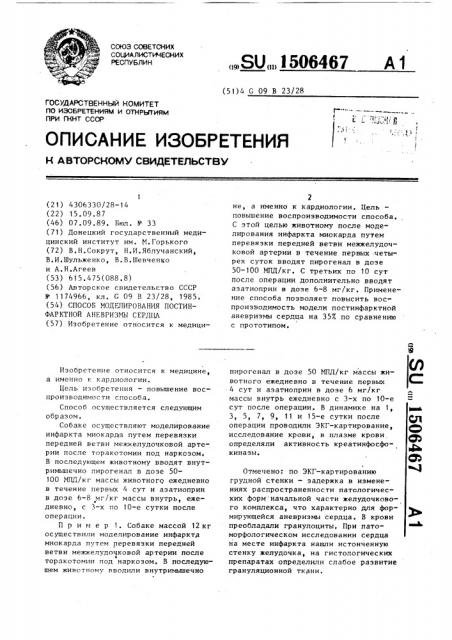 Способ моделирования постинфарктной аневризмы сердца (патент 1506467)