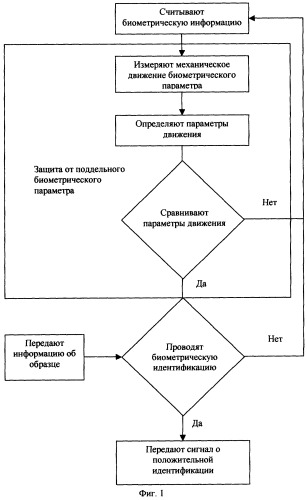 Способ биометрической идентификации (патент 2286599)