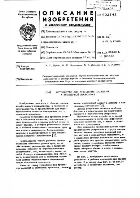 Устройство для крепления растений к шпалерной проволоке (патент 602143)