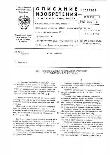 Способ защиты виноградных растений от филлоксеры в.м.пойченко (патент 588963)