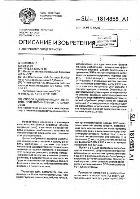 Способ идентификации фенотипа селекционируемых по масти овец (патент 1814858)