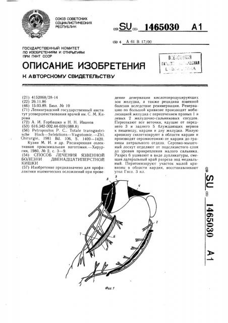 Способ лечения язвенной болезни двенадцатиперстной кишки (патент 1465030)