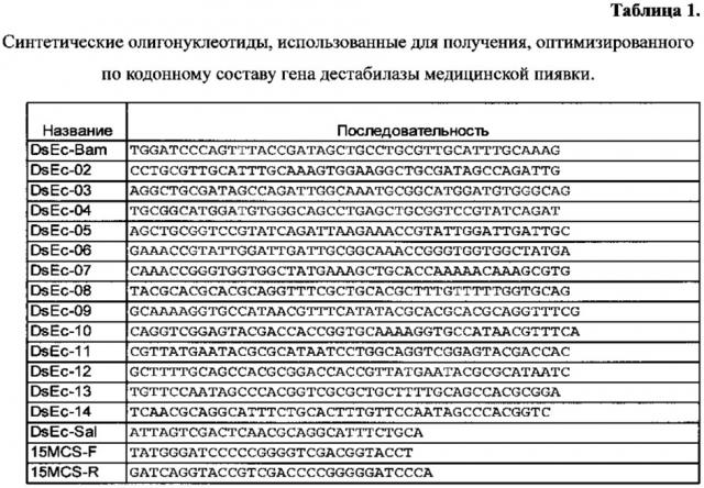 Рекомбинантная плазмидная днк pet15/n-dest+ и способ ее получения, штамм escherichia coli bl21(de3)gold, трансформированный рекомбинантной днк pet15/n-dest+, и способ его получения, способ получения рекомбинантного бифункционального фермента - дестабилазы медицинской пиявки (патент 2658429)