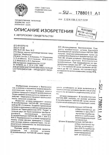 Штамм бактерий вrеviвастеriuм lастоfеrмеnтuм-продуцент лизина (патент 1788011)