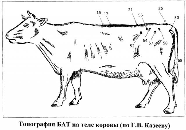 Способ терапии субинволюции матки у коров (патент 2474419)