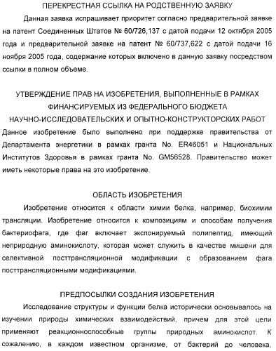 Селективная посттрансляционная модификация экспонируемых фагами полипептидов (патент 2459866)