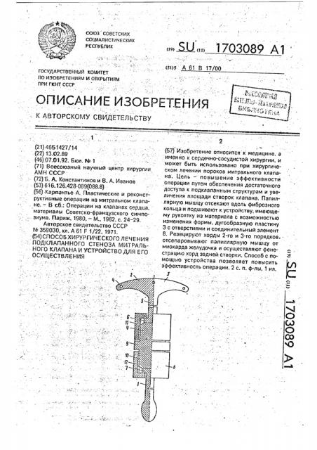 Способ хирургического лечения подклапанного стеноза митрального клапана и устройство для его осуществления (патент 1703089)