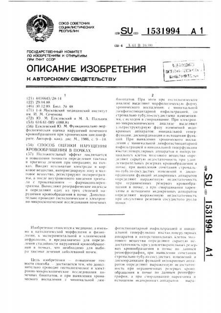 Способ оценки нарушения кровообращения в почках (патент 1531994)