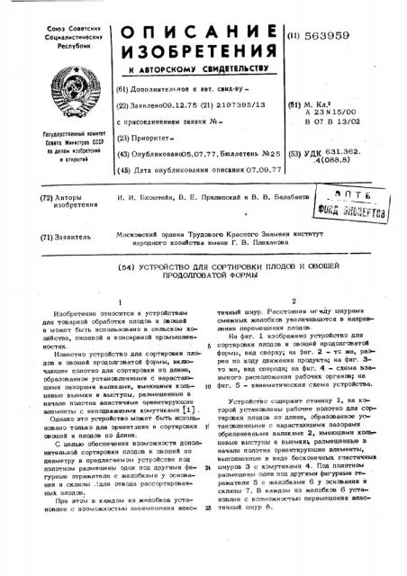 Устройство для осортировки плодов и овощей продолговатой формы (патент 563959)