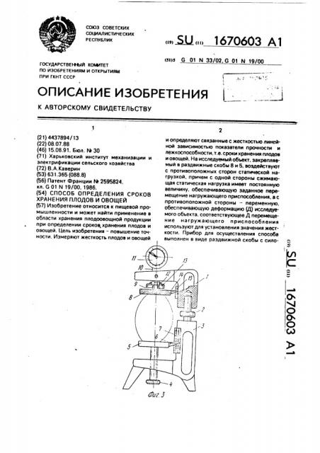 Способ определения сроков хранения плодов и овощей (патент 1670603)