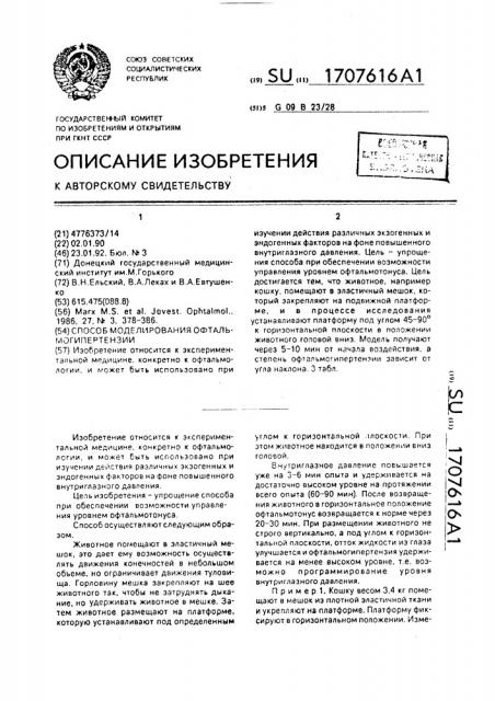 Способ моделирования офтальмогипертензии (патент 1707616)