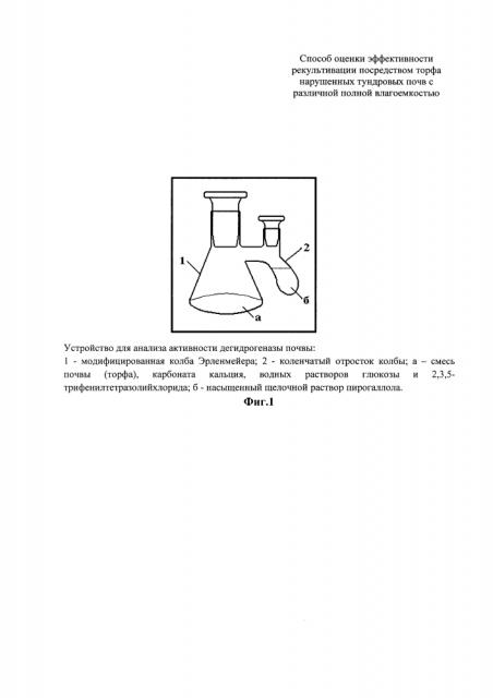 Способ оценки эффективности рекультивации посредством торфа нарушенных тундровых почв с различной полной влагоемкостью (патент 2611159)