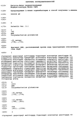 Способ получения l-лизина (патент 2264461)