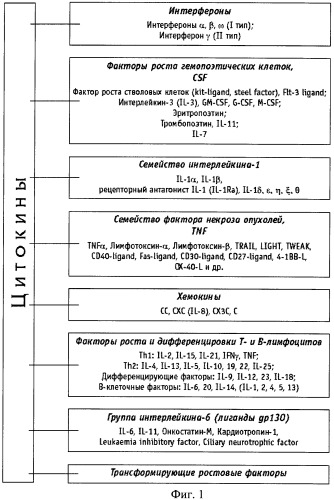 Способ иммунотерапии гнойного риносинусита (патент 2457789)