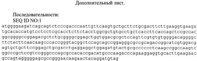 Фармацевтическая композиция для генной терапии заболеваний, требующих стимуляции регенераторных процессов, включая повреждения тканей человека различной этиологии, на основе синтетического модифицированного гена инсулиноподобного фактора роста человека первого типа (ифр-1, igf-1) (патент 2372941)