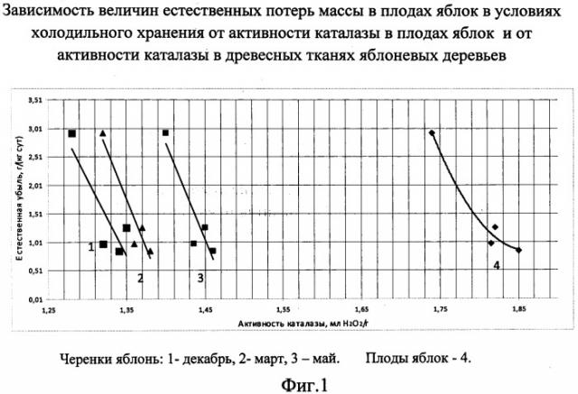 Способ предварительного прогнозирования лежкости плодов и ягод при хранении (патент 2485759)