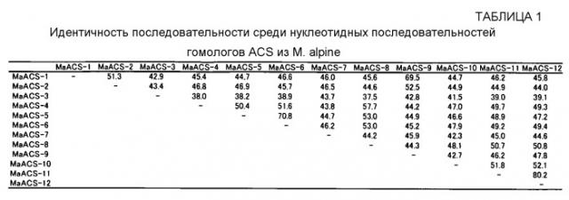 Полинуклеотид, кодирующий гомолог ацил-соа-синтетазы, и его применение (патент 2528248)