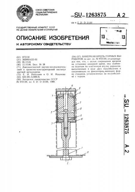 Анкерная крепь горных выработок (патент 1263875)