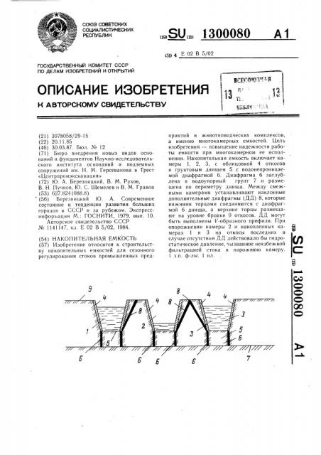 Накопительная емкость (патент 1300080)