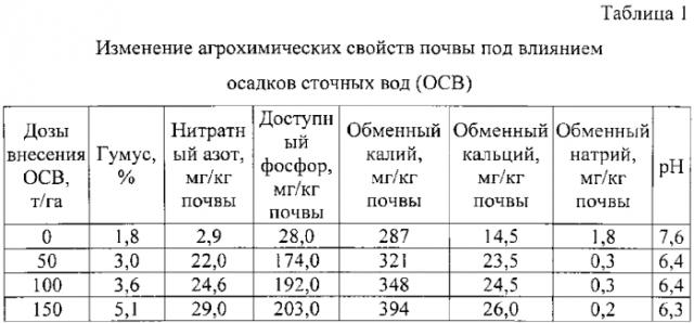 Способ мелиорации солонцовых почв (патент 2581672)