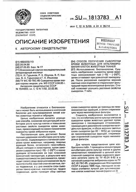 Способ получения сыворотки крови животных для культивирования клеток животных тканей (патент 1813783)