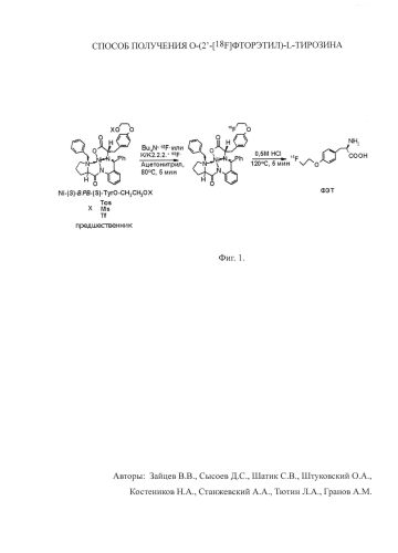 Способ получения о-(2'-[18f]фторэтил)-l-тирозина (патент 2583371)