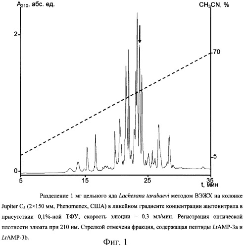 Пептиды латарцины, проявляющие антимикробную активность (патент 2302466)