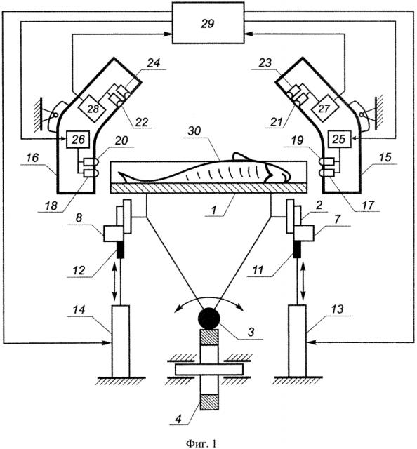 Устройство для ориентирования рыбы головой в одну сторону (патент 2645974)