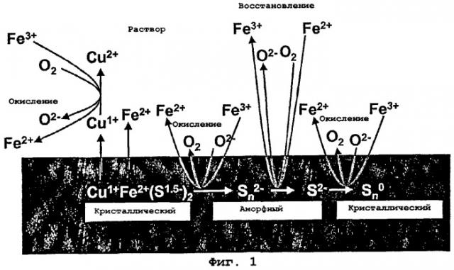 Извлечение меди из халькопирита (патент 2294974)