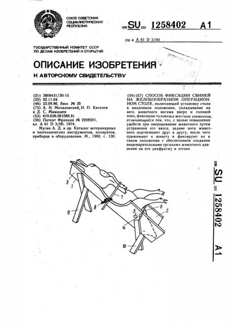 Способ фиксации свиней на желобообразном операционном столе (патент 1258402)