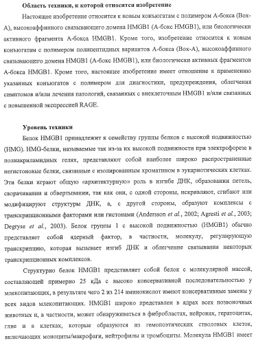 Конъюгаты с полимером а-бокса hmgb1 и вариантов а-бокса hmgb1 (патент 2458070)