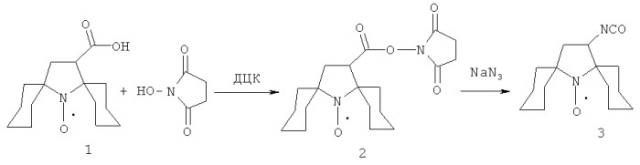 Спин-меченое производное кинуренина и способ его получения (патент 2519951)