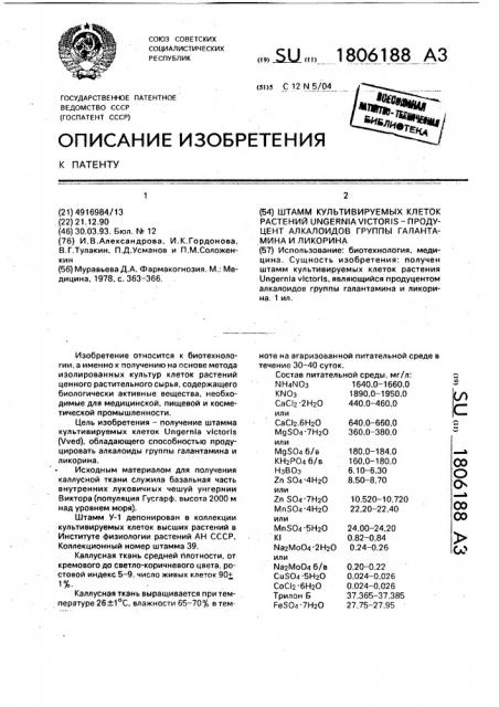 Штамм культивируемых клеток растений ungernia viстоris - продуцент алкалоидов группы галантамина и ликорина (патент 1806188)