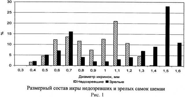 Способ получения икры от самок азово-черноморской шемаи (патент 2455821)