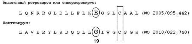 Мутантные лентивирусные белки env и их применение в качестве лекарственных средств (патент 2654673)