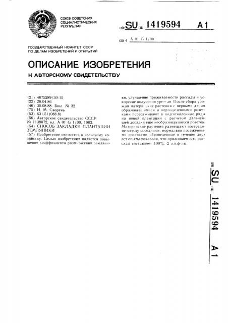 Способ закладки плантации земляники (патент 1419594)