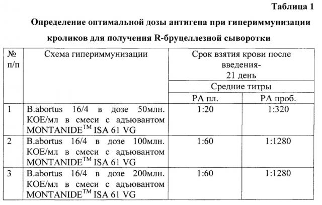 Способ получения r-бруцеллёзной сыворотки на кроликах (патент 2659948)