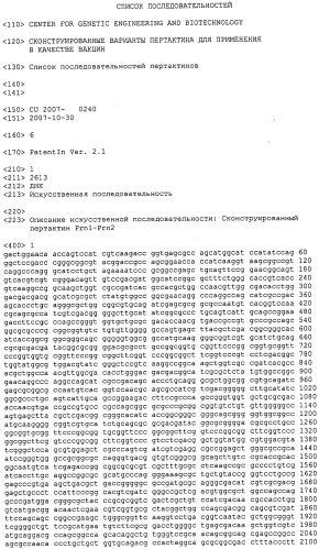 Полинуклеотидная последовательность, кодирующая сконструированный белок пертактин, вектор, включающий такую последовательность, и вакцинные композиции, содержащие белок пертактина или вектор (патент 2499046)