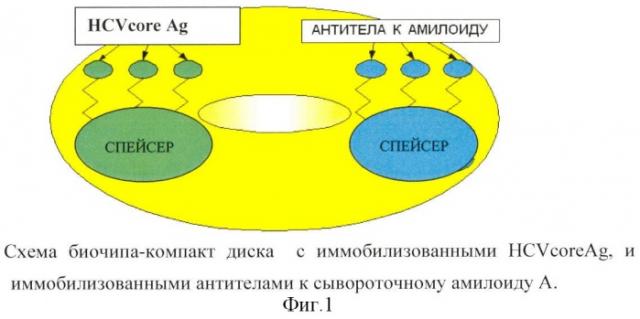 Способ регистрации специфических макромолекул в биологической пробе и устройство для его осуществления (патент 2338199)