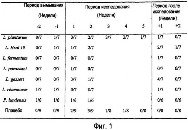 Применение lactobacillus для лечения аутоиммунных заболеваний (патент 2417092)