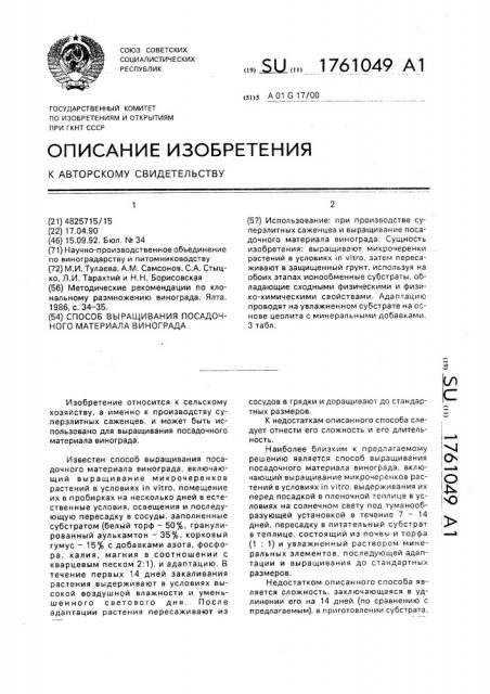 Способ выращивания посадочного материала винограда (патент 1761049)