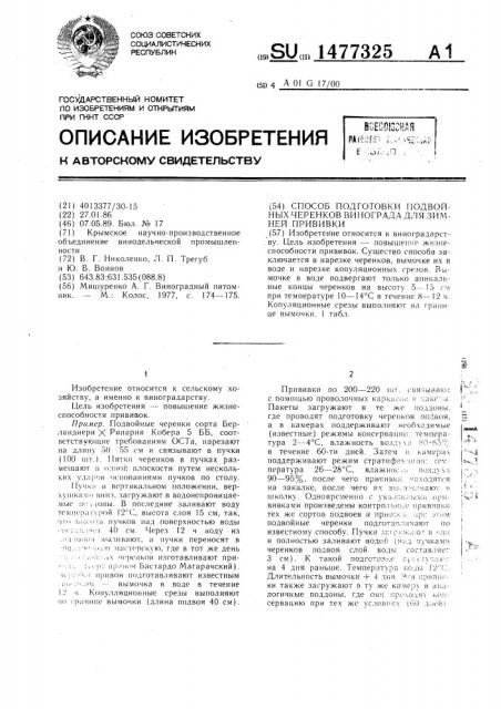 Способ подготовки подвойных черенков винограда для зимней прививки (патент 1477325)