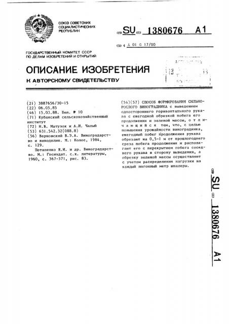 Способ формирования сильнорослого виноградника (патент 1380676)