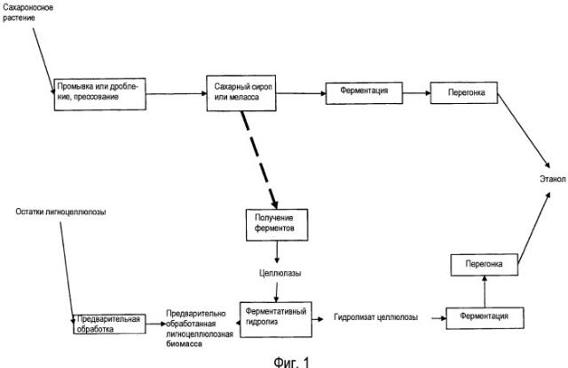 Способ получения спирта в контексте биорафинирования (патент 2508403)