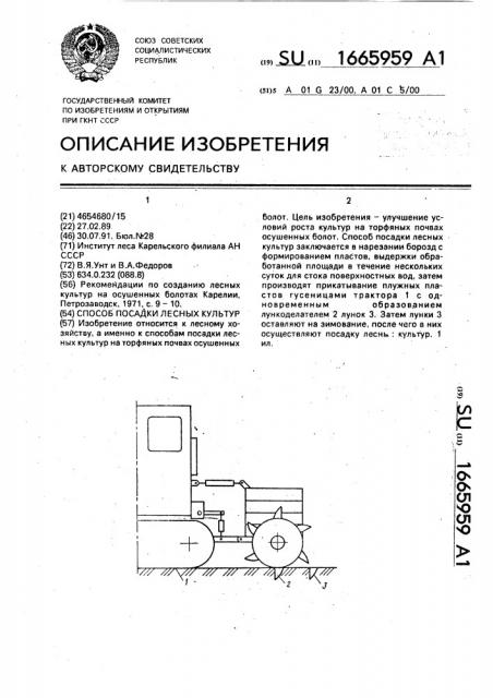 Способ посадки лесных культур (патент 1665959)