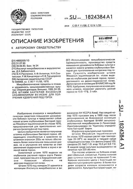 Штамм бактерий rнizовiuм lеguмinоsаruм вv.viceae для получения удобрения под горох (патент 1824384)