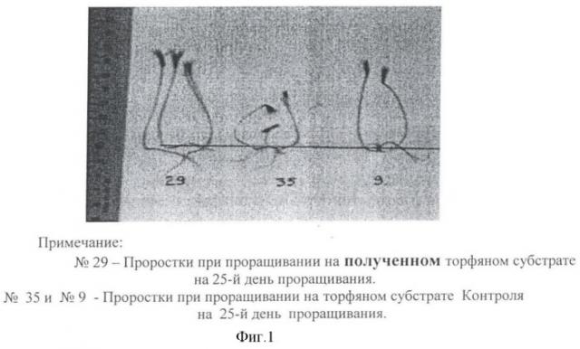 Способ получения торфяного субстрата для посадочного материала лесных культур (патент 2365569)